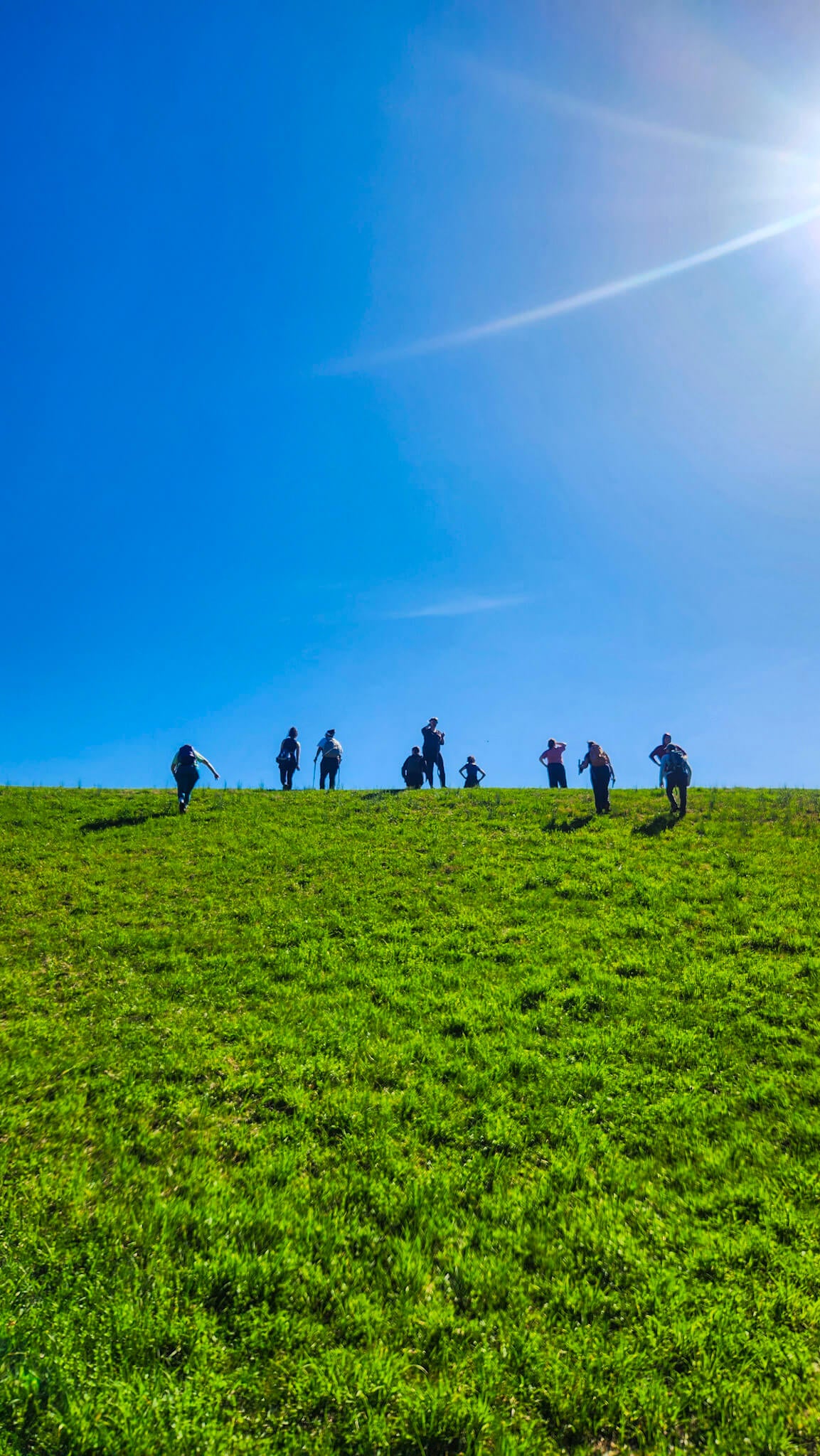 *NEW* Spring Group Hikes - From $20, Including Pickup! (Select Dates)