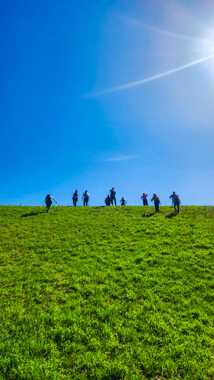 *NEW* Spring Group Hikes - From $20, Including Pickup! (Select Dates)