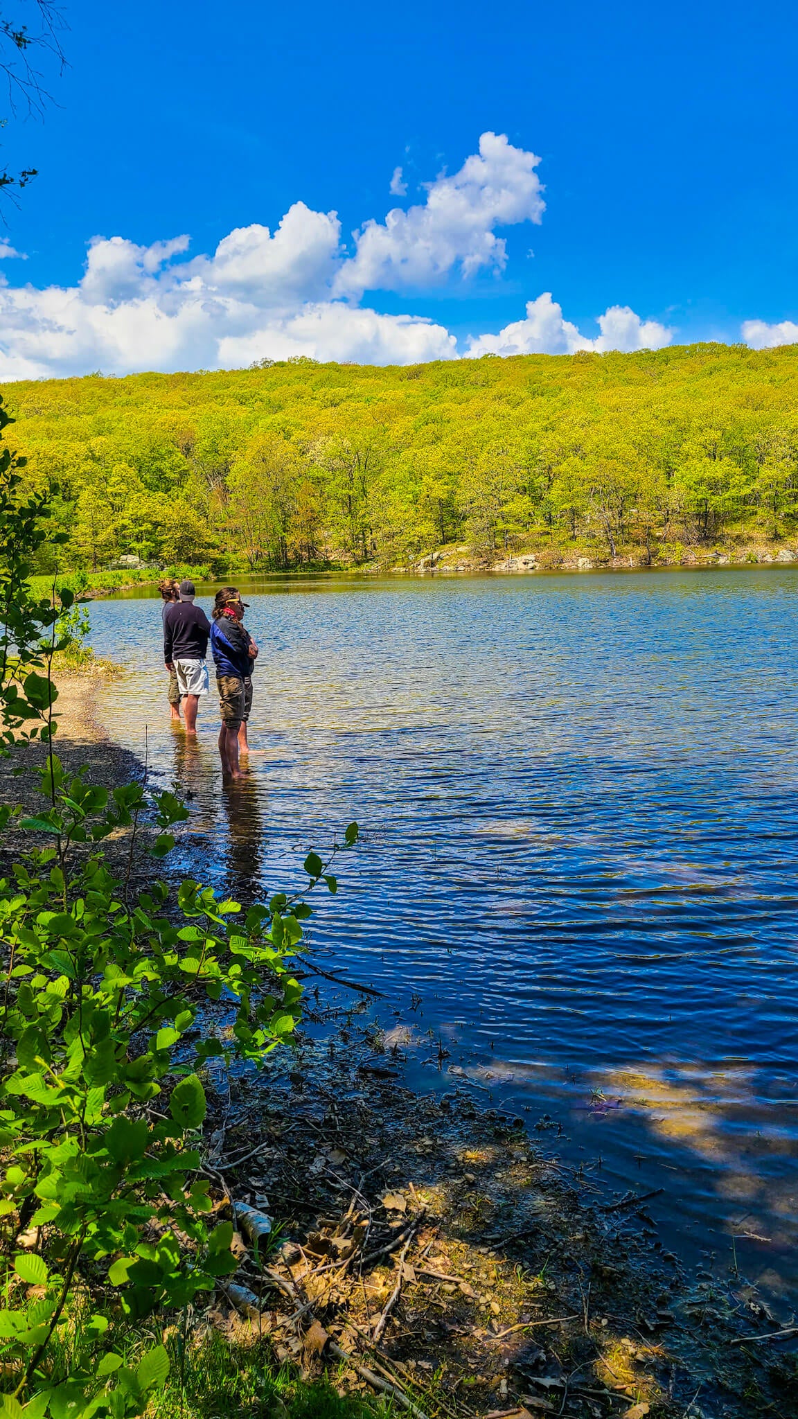 Forest Bathing Meditation at Sterling Forest (Sep 12 2026)