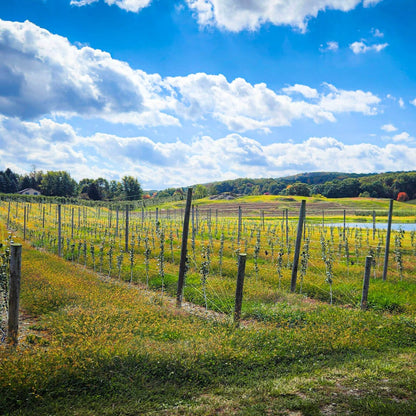 Direct Shuttle to Fall Apple and Pumpkin Picking