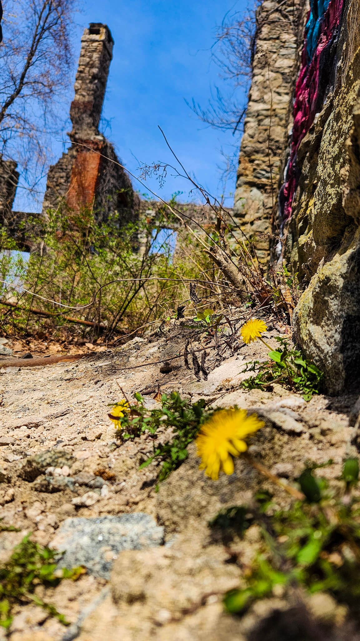 *NEW* Spring Group Hikes - Only $20, Including Pickup! (Select Dates)