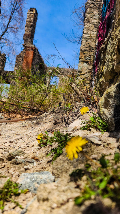 *NEW* Spring Group Hikes - Only $20, Including Pickup! (Select Dates)