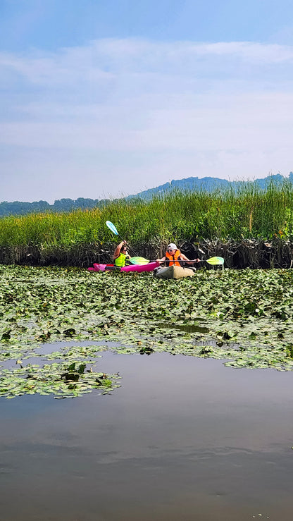 Summer Kayaking (Select Dates)