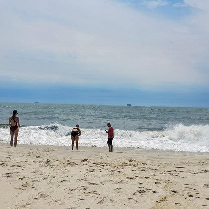 Beach Day Shuttle