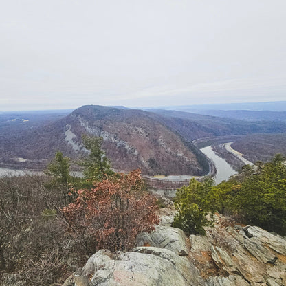 Fall Gratitude Hike at Mount Minsi, with Bonus Visit to a Wolf Preserve (Nov 8 2025)
