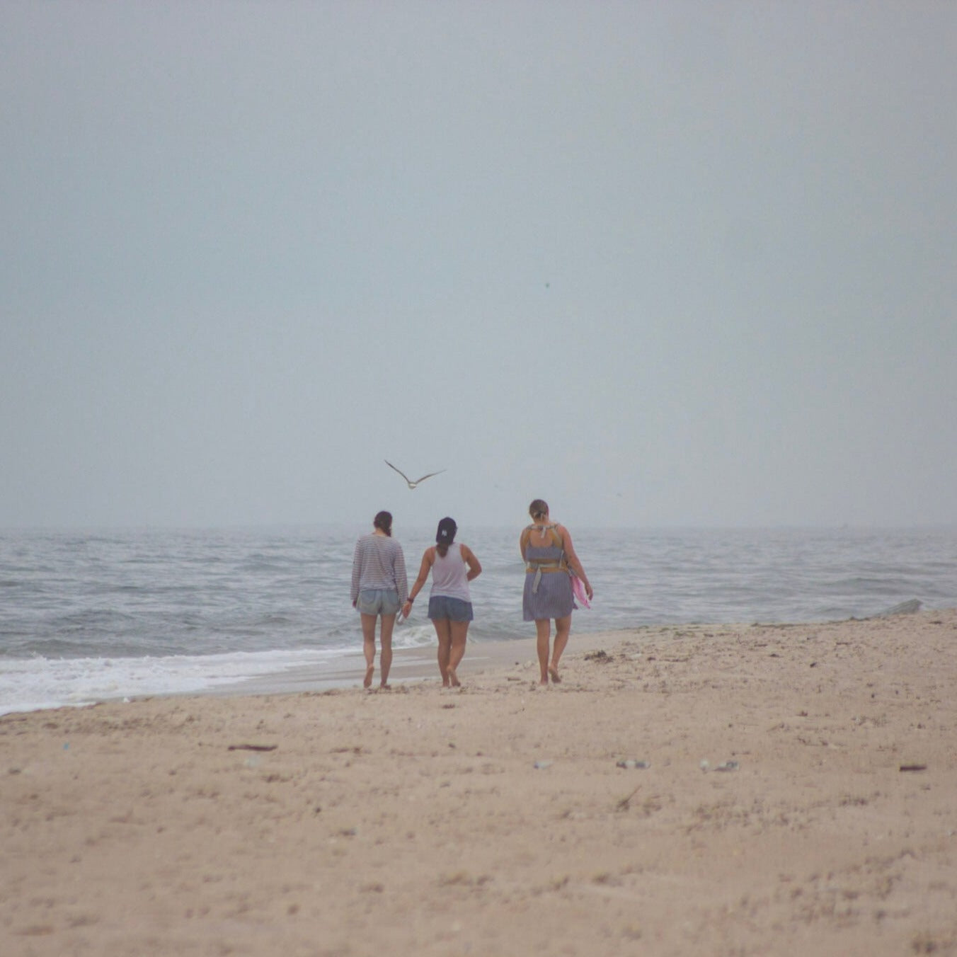 Beach Day Shuttle