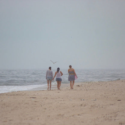 Beach Day Shuttle