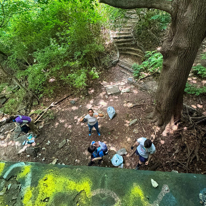People hiking on a trail in a forest with a large tree and greenery.