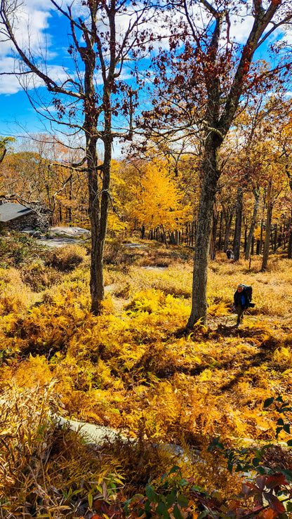 MiniOcktoberfest Beginner Overnight Backpacking And Wild Camping (October 24 & 25, 2026)