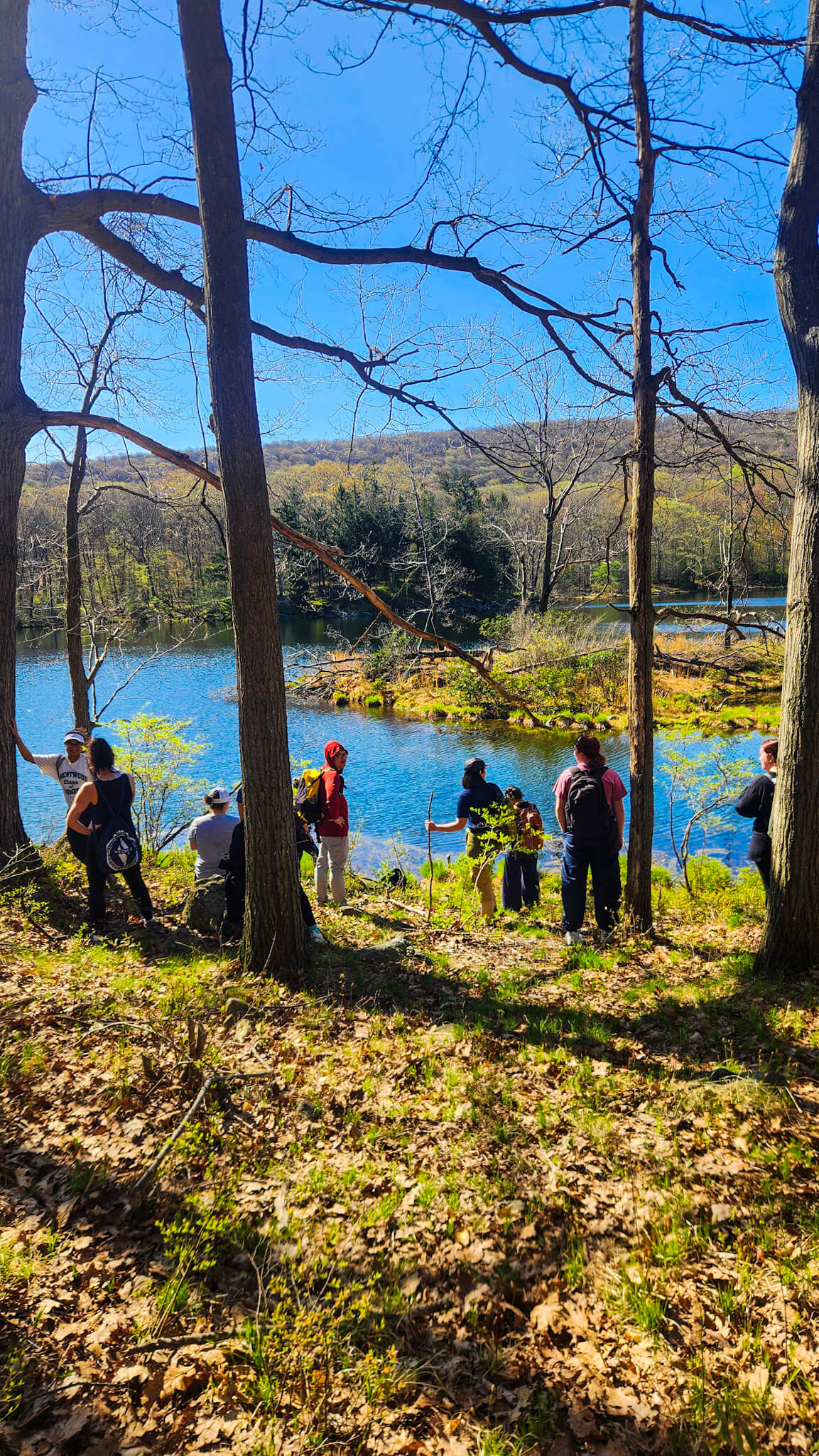 *NEW* Summer Friday Group Hikes - From $25, Including Pickup! (Select Dates)