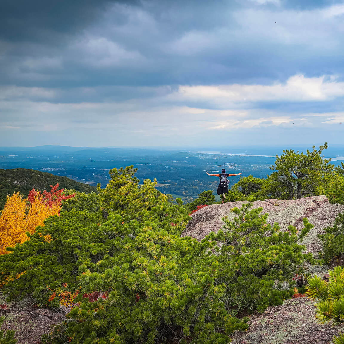 Person standing on a rocky outcrop overlooking a scenic landscape with trees and mountains.