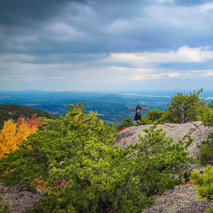 Person standing on a rocky outcrop overlooking a scenic landscape with trees and mountains.