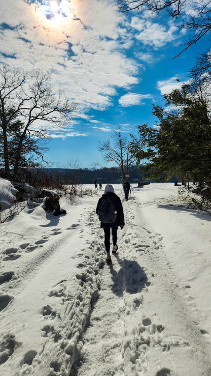 Winter Group Hikes - Only $20, Including Pickup! (Select Dates)