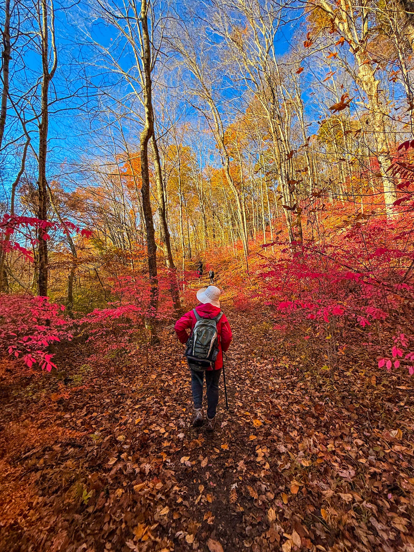 *NEW* Fall Friday Group Hikes - Only $20, Including Pickup! (Select Dates)