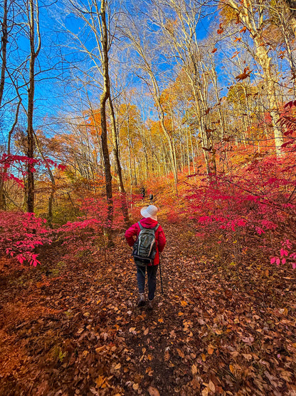 *NEW* Fall Friday Group Hikes - Only $20, Including Pickup! (Select Dates)