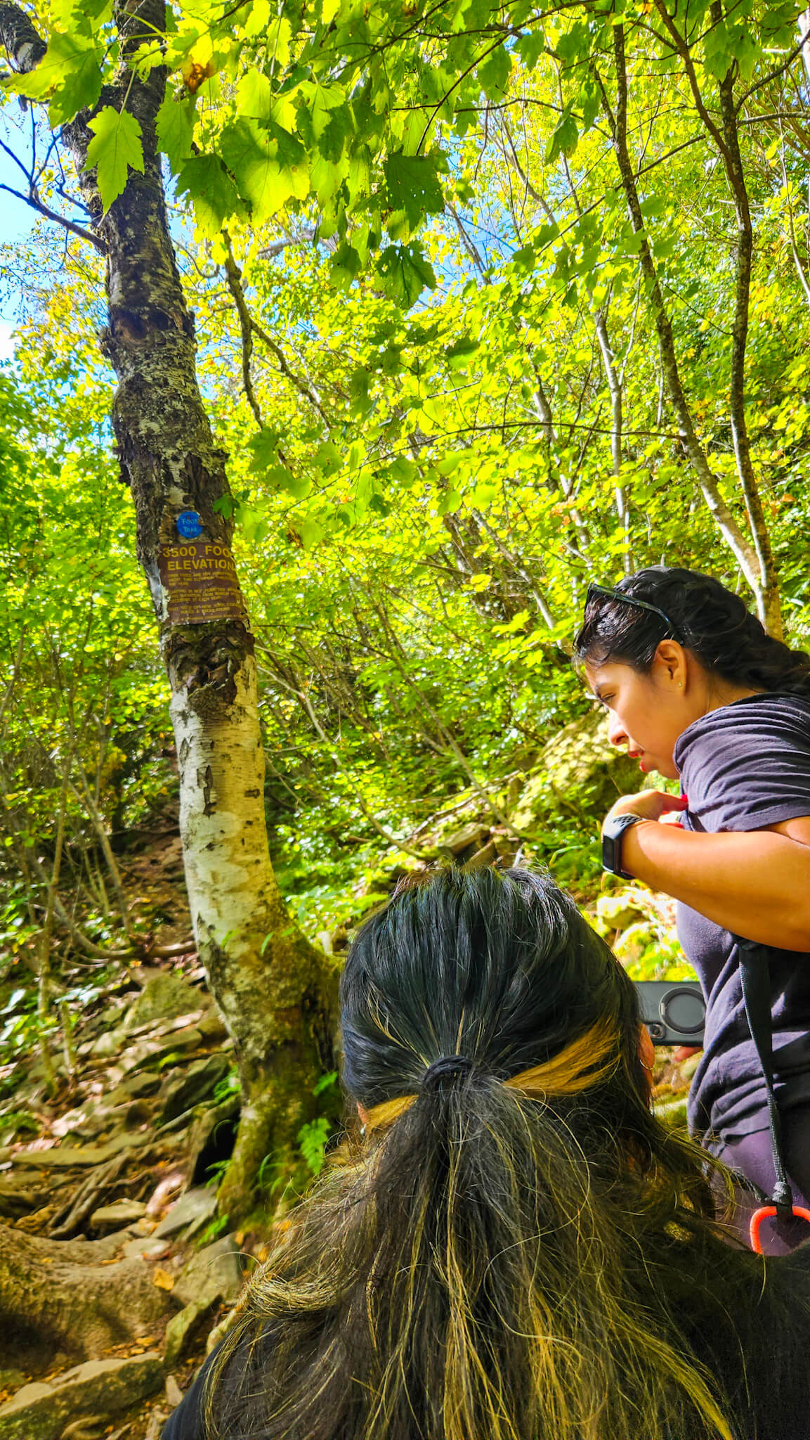 *NEW* Fall Friday Group Hikes - From $30, Including Pickup! (Select Dates)
