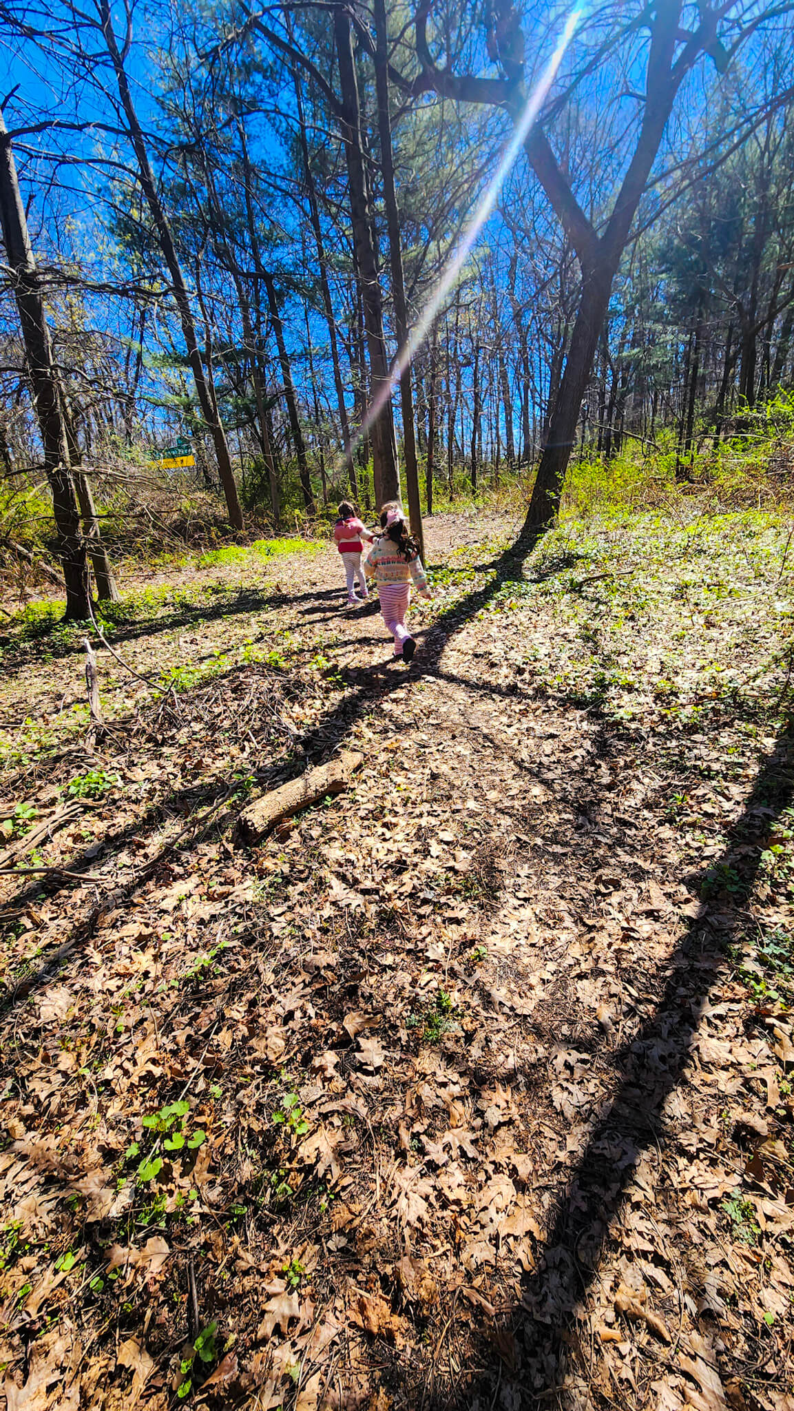 *NEW* Kids Hikes - From $20, For Ages 4-14, Includes Pickup! (Select Dates)