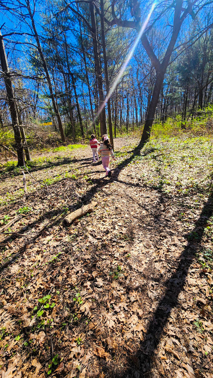 *NEW* Kids Hikes - From $20, For Ages 4-14, Includes Pickup! (Select Dates)