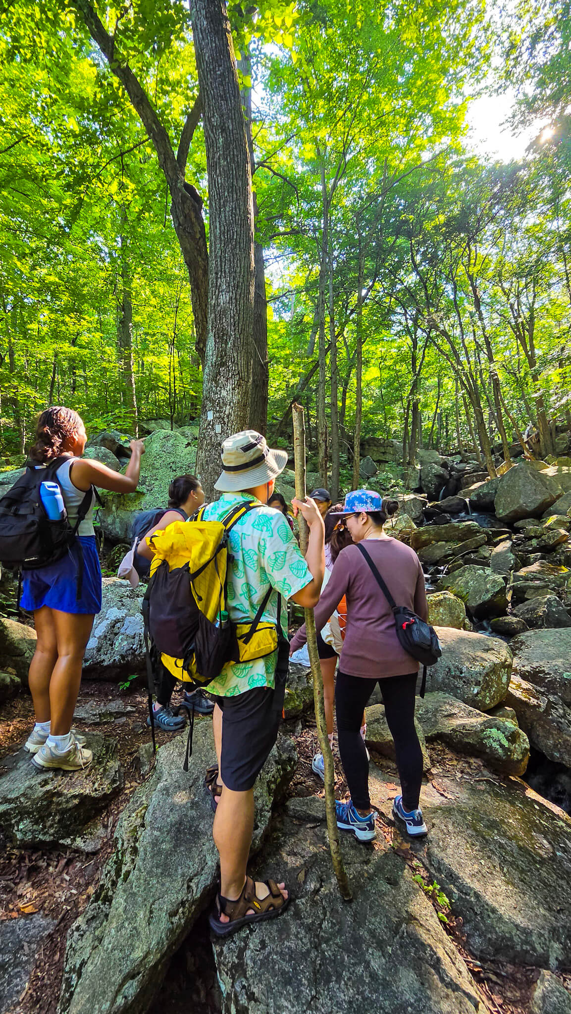 *NEW* Summer Friday Group Hikes - From $25, Including Pickup! (Select Dates)