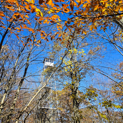 Rydeshare to Catskills Fire Towers