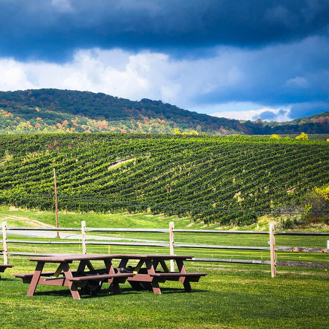 Direct Shuttle to Fall Apple and Pumpkin Picking