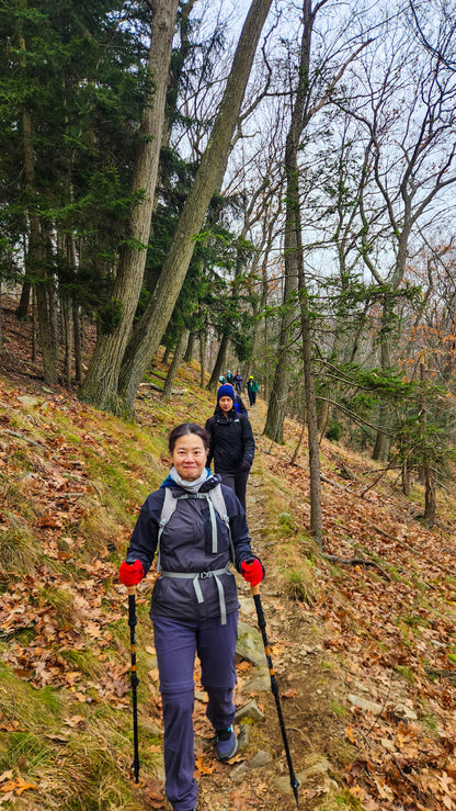 *NEW* Fall Friday Group Hikes - Only $20, Including Pickup! (Select Dates)