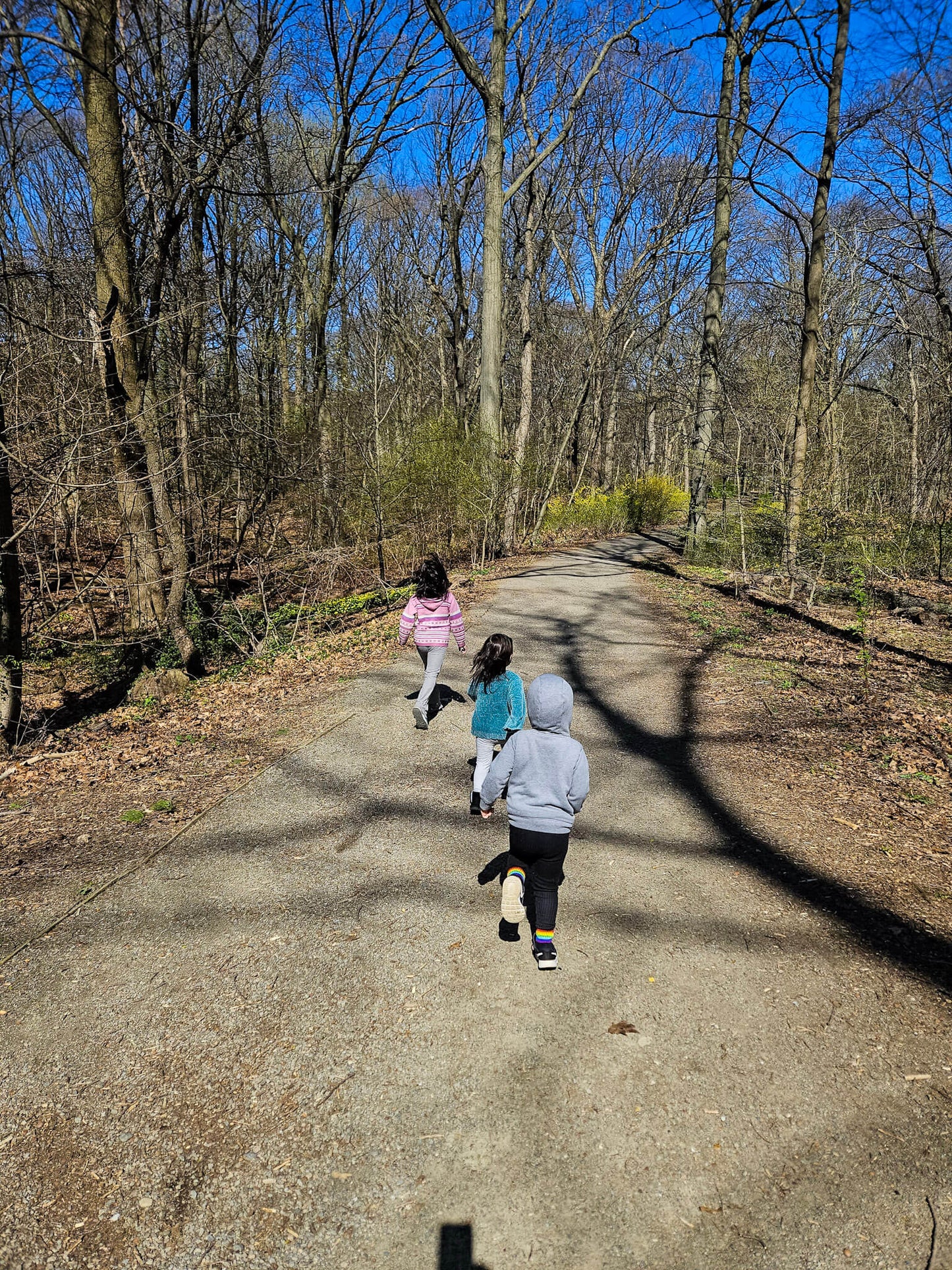 *NEW* Kids Hikes - From $20, For Ages 4-14, Includes Pickup! (Select Dates)