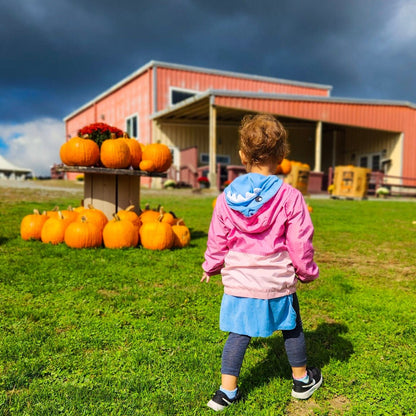 Direct Shuttle to Fall Apple and Pumpkin Picking