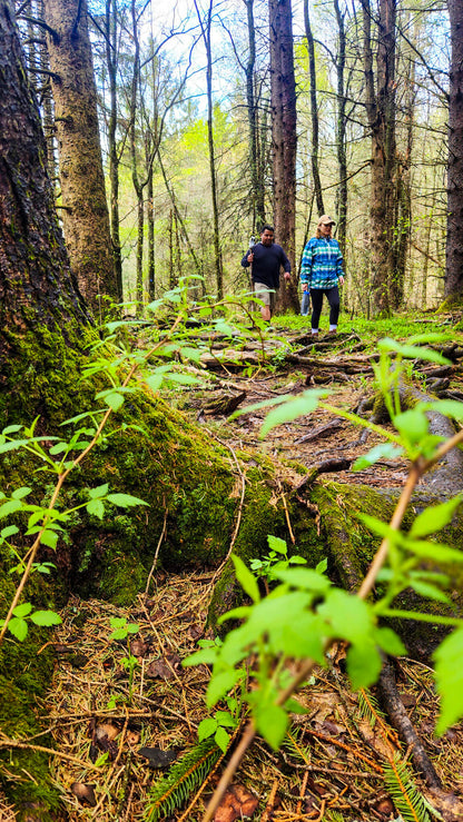 *NEW* Spring Group Hikes - Only $20, Including Pickup! (Select Dates)