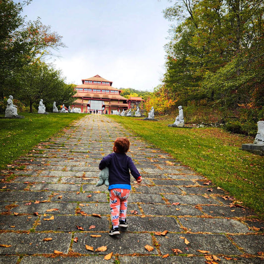 Direct Shuttle to Chuang Yen Monastery