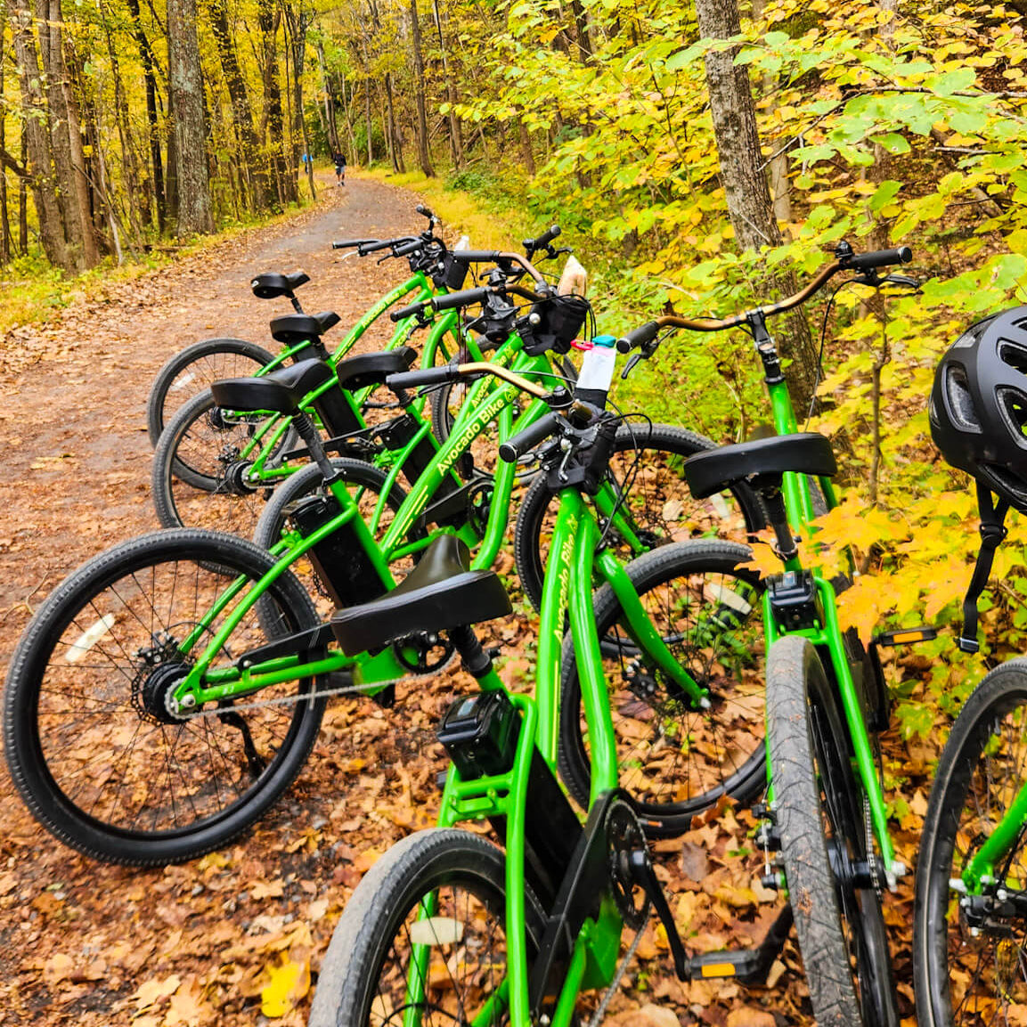 Green bicycles parked on a forest path with autumn foliage