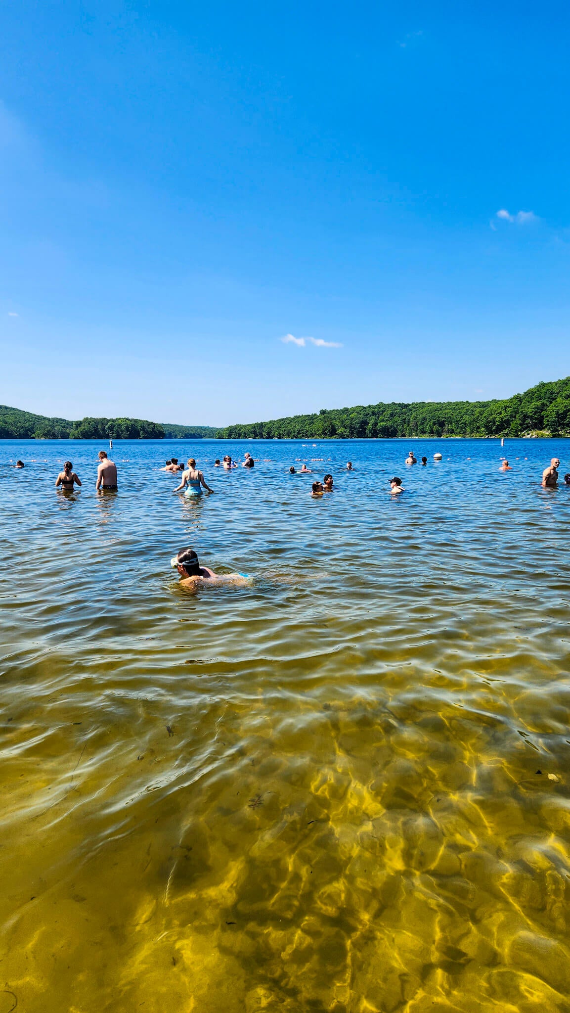 *NEW* Summer Friday Group Hikes - From $25, Including Pickup! (Select Dates)