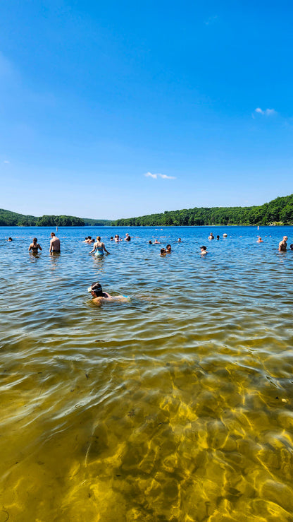 *NEW* Summer Friday Group Hikes - From $25, Including Pickup! (Select Dates)