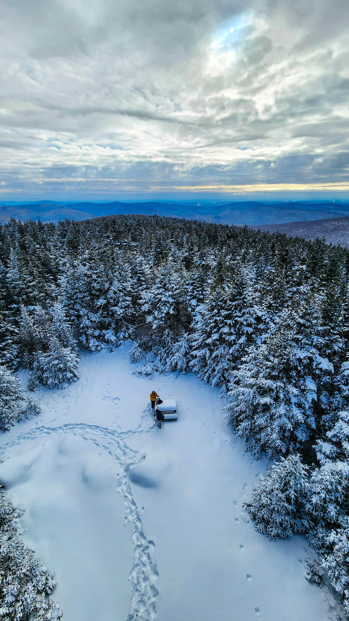 Winter Group Hikes - Only $20, Including Pickup! (Select Dates)