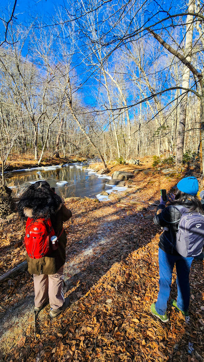 *NEW* Fall Friday Group Hikes - Only $20, Including Pickup! (Select Dates)