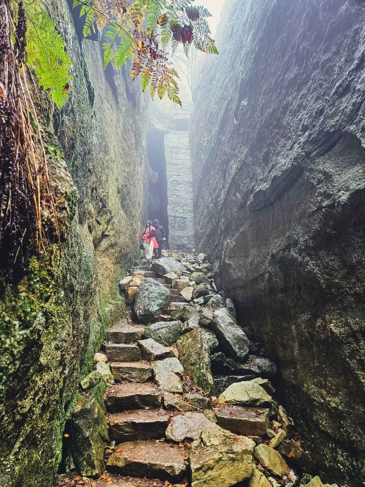 *NEW* Fall Friday Group Hikes - From $30, Including Pickup! (Select Dates)