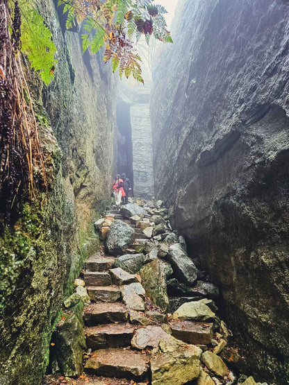 *NEW* Fall Friday Group Hikes - From $30, Including Pickup! (Select Dates)