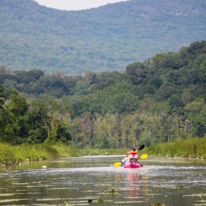 Get Out & Kayak To A Beautiful Tidal Marsh and Protected Bird Sanctuary