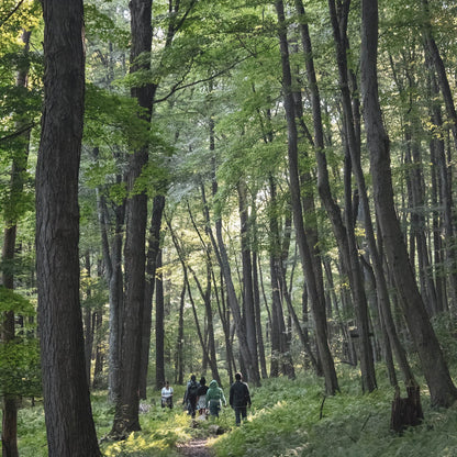 Hike Out Adventure & Wolf Preserve