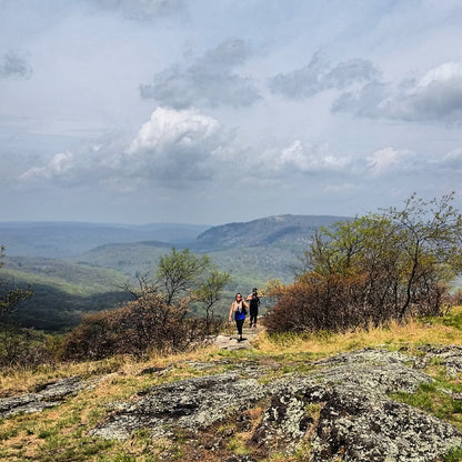 Trashmapping Bear Mountain (Oct 5 2025)