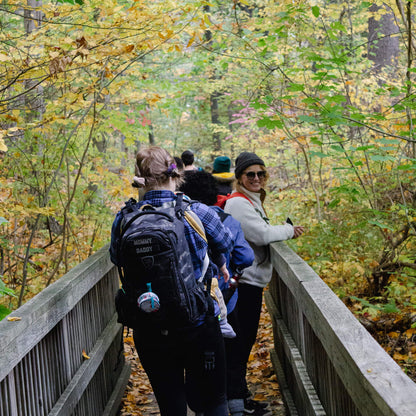 People walking on a wooden bridge in a forest with autumn foliage