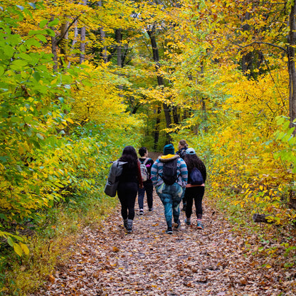 People walking on a leaf-covered path through a forest with autumn foliage.
