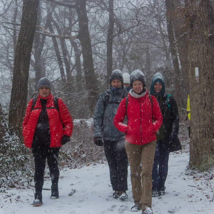 People walking in a snowy forest