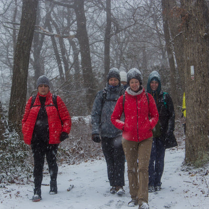 People walking in a snowy forest