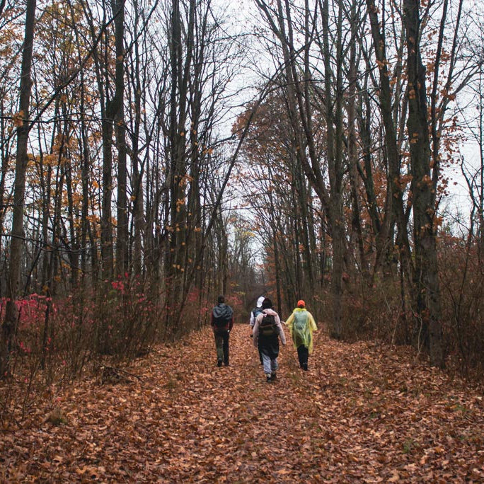 Three people walking on a leaf-covered path through a forest during autumn.