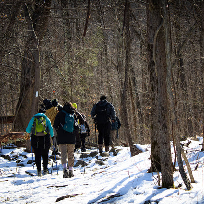 *NEW* Winter Group Hikes - Only $20, Including Pickup! (Select Dates)
