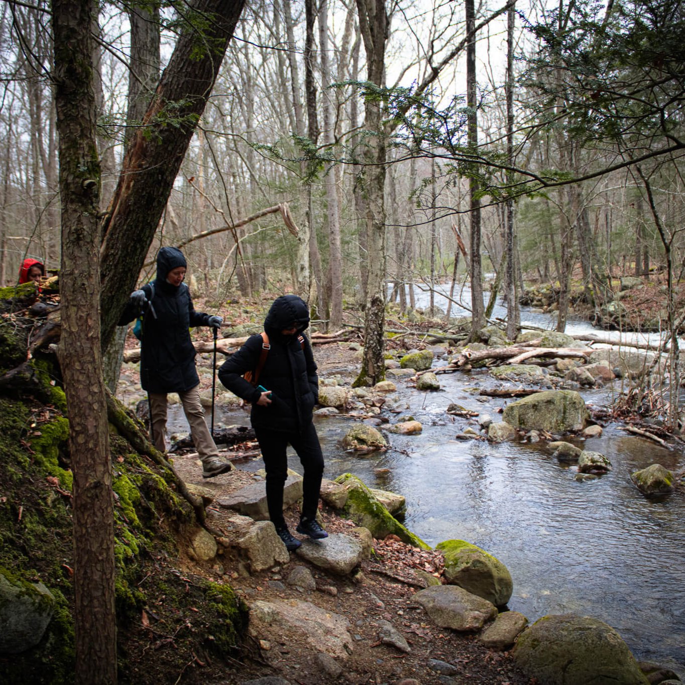 Hike Out Harriman