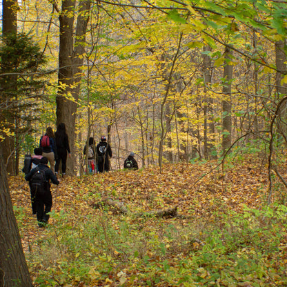 Healing Hike, An Outdoor Reiki Practice