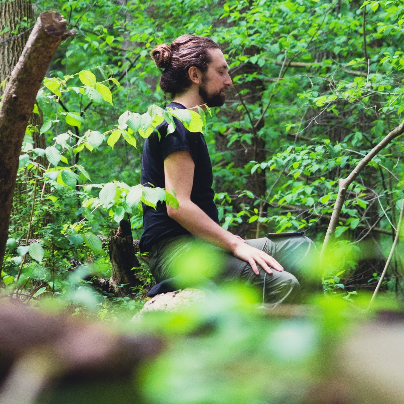 Hike & Forest Bathing Meditation