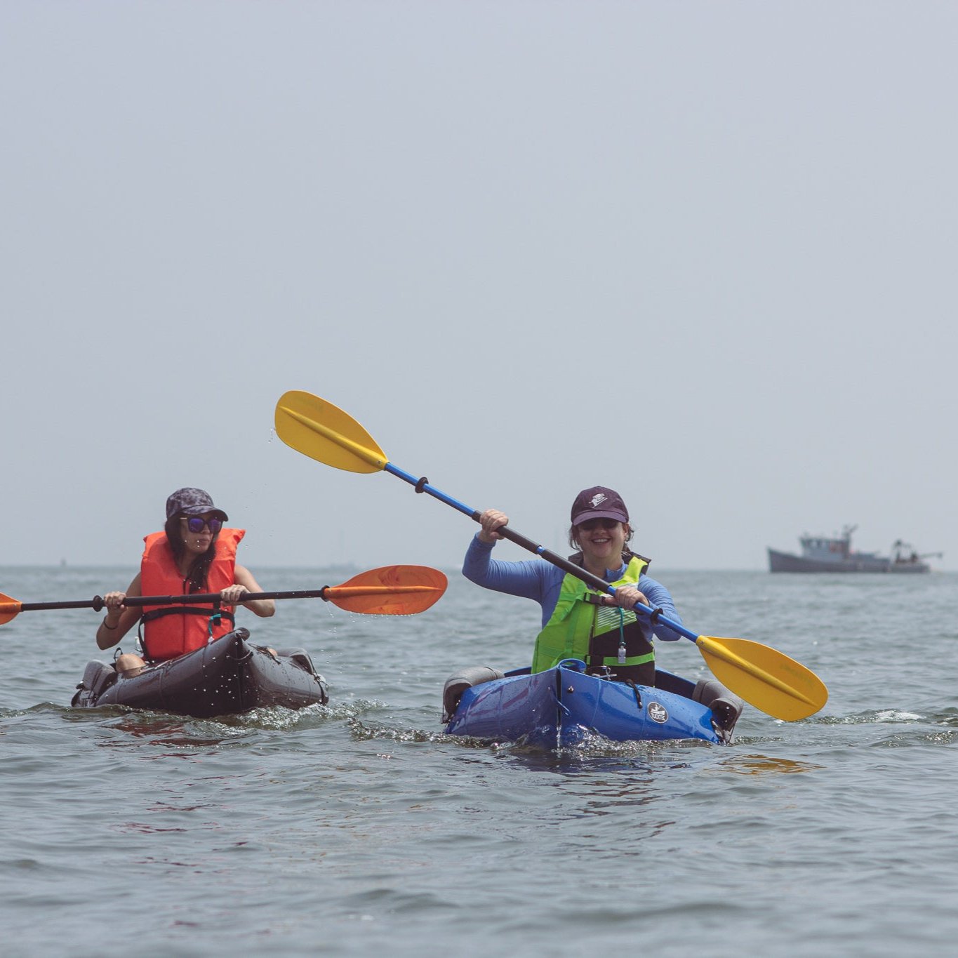 Get Out & Kayak To Cockenoe Island Bird Estuary